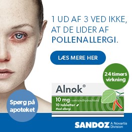 Alnok reklame